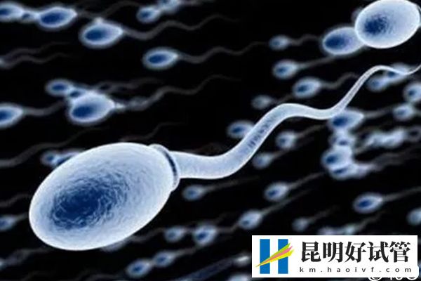 云大医院供精试管婴儿总费用更新！成功率高花费才低(图3)